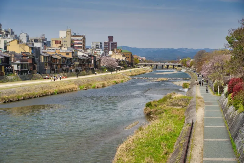 Follow the Water: Eight Riverside Hangouts on the Muromi Where Tojinmachi Actually Unwinds
