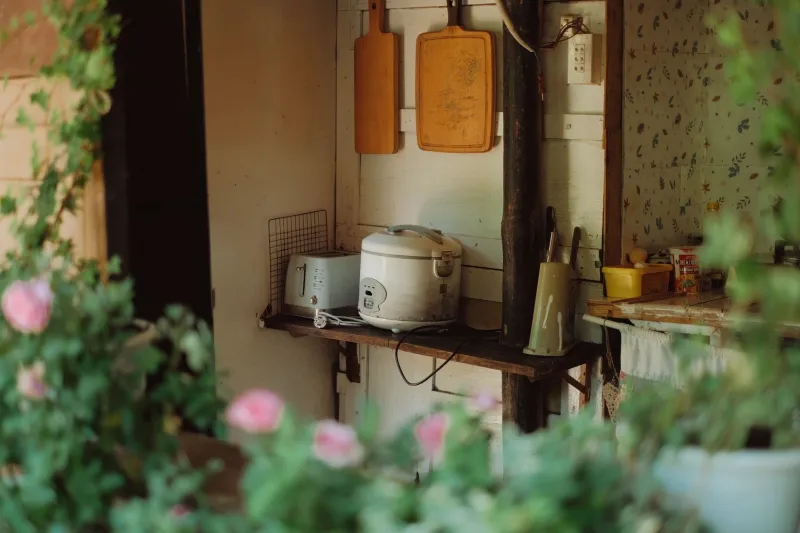 One Machine, Endless Dinners: Confessions of a Rice Cooker Convert in a 20-Square-Meter Tojinmachi Apartment